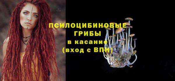 бошки Болотное