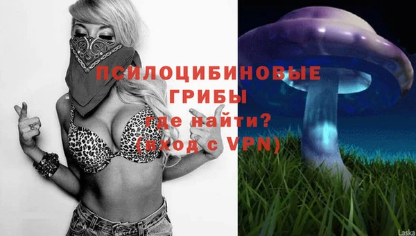 apvp Абаза
