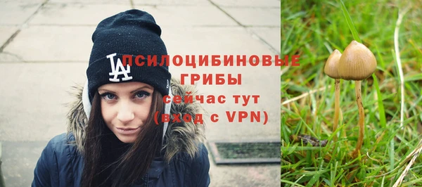 бошки Болотное