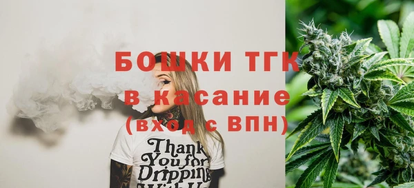 бошки Болотное