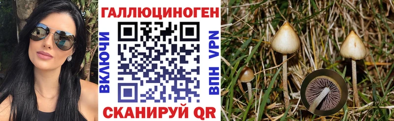 Галлюциногенные грибы мицелий  где можно купить   Дубна 