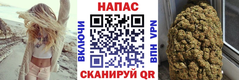 Каннабис SATIVA & INDICA  Дубна 